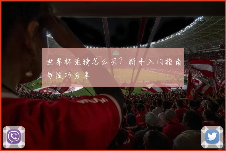 世界杯竞猜怎么买?新手入门指南与技巧分享