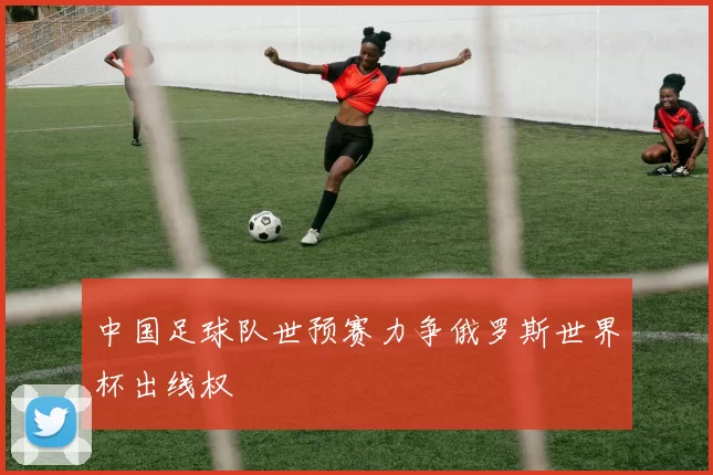 中国足球队世预赛力争俄罗斯世界杯出线权