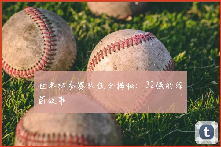 世界杯参赛队伍全揭秘:32强的绿茵故事