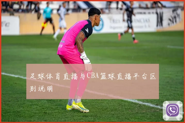 足球体育直播与CBA篮球直播平台区别说明