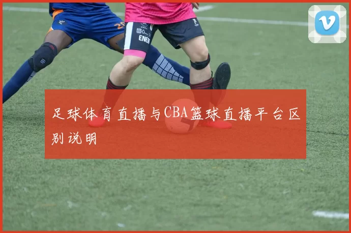 足球体育直播与CBA篮球直播平台区别说明