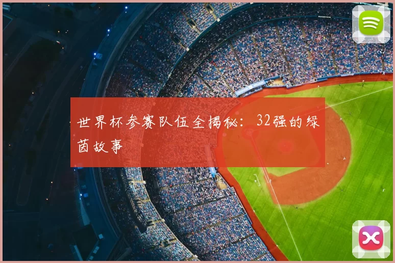 世界杯参赛队伍全揭秘:32强的绿茵故事