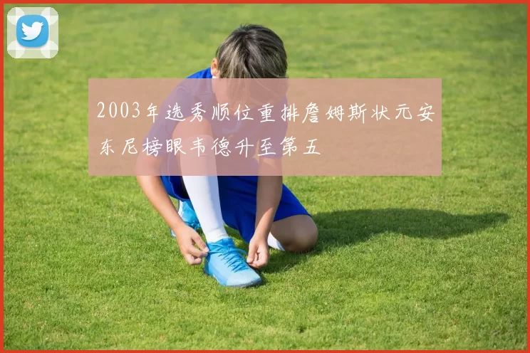 2003年选秀顺位重排詹姆斯状元安东尼榜眼韦德升至第五