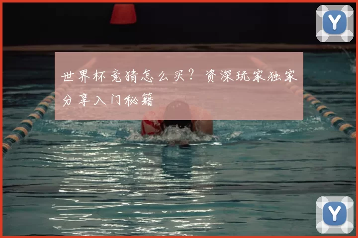 世界杯竞猜怎么买?资深玩家独家分享入门秘籍
