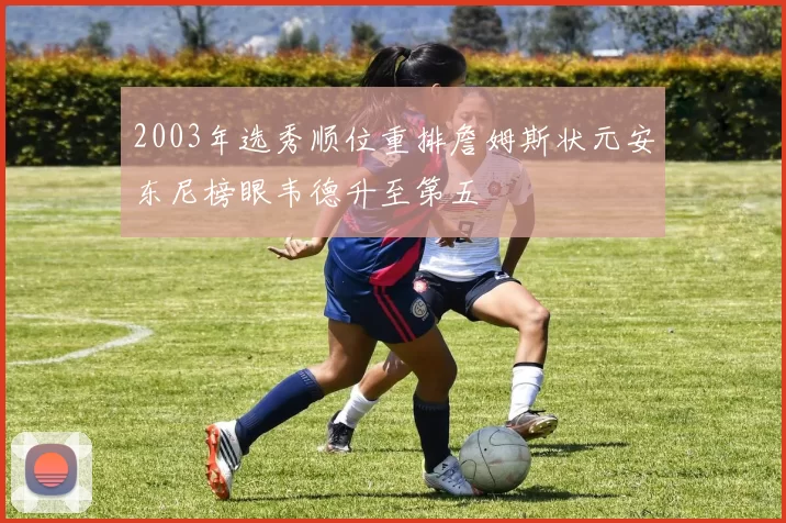 2003年选秀顺位重排詹姆斯状元安东尼榜眼韦德升至第五