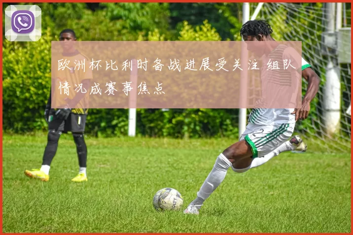 欧洲杯比利时备战进展受关注 组队情况成赛事焦点