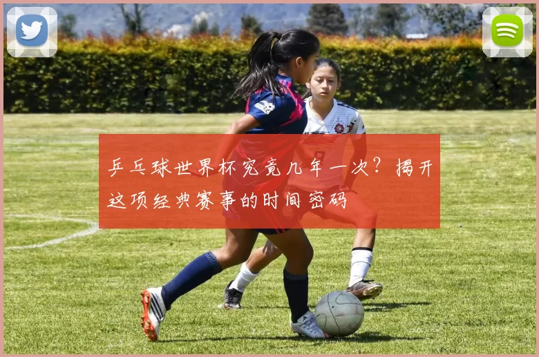 乒乓球世界杯究竟几年一次？揭开这项经典赛事的时间密码